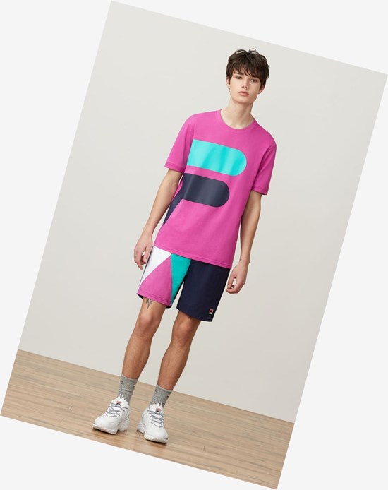 Fila Alvan Tee Prpo/Peac/Plgrn | 9875CYHND