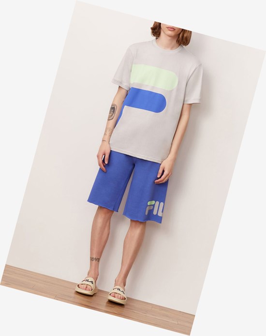 Fila Alvan Tee Qgry/Ampb/Pgrn | 3609SGYZF